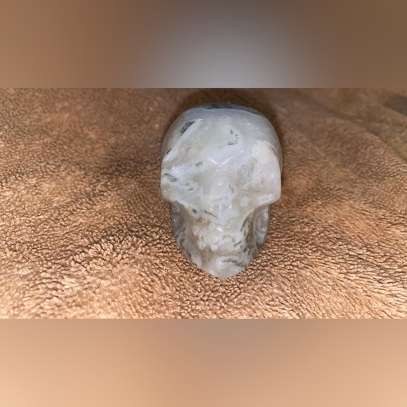 Skull party - Picture 9 of 11